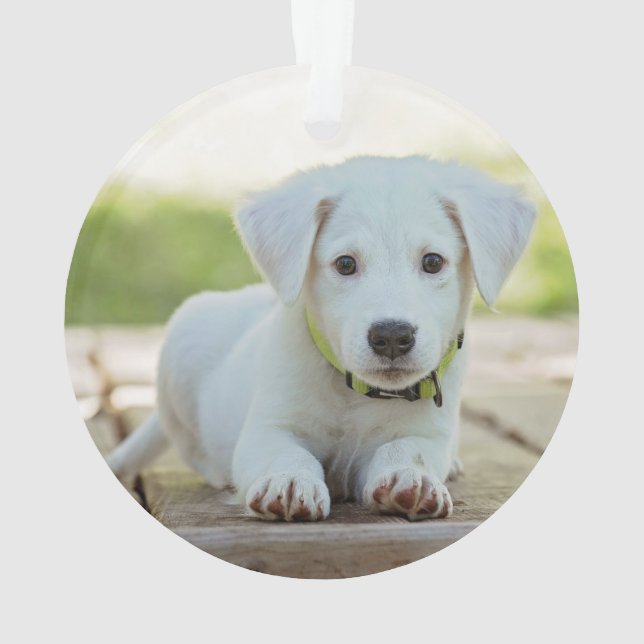 Dog Photo Name Year White Paw Print Purple Ornament (Back)