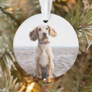 Dog Photo Ornament Gift for Family Christmas Tree