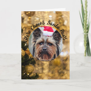 Dog Photo Personalise Name Christmas Holiday Card
