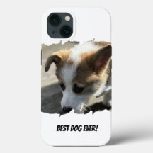 Dog Photo Pet Case-Mate iPhone Case