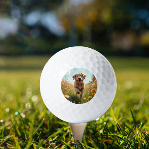 Dog photo pet golf balls