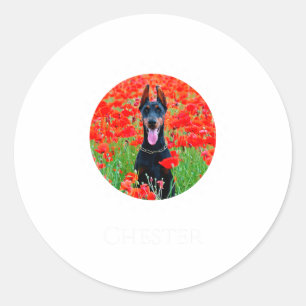 Dog Photo Shirt D Pet Gift  Classic Round Sticker