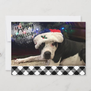 Dog Photo YAPPY HOWLIDAYS B&W Buffalo Check Holiday Card