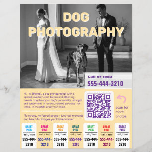 Dog Photographer Flyer colourful yellow