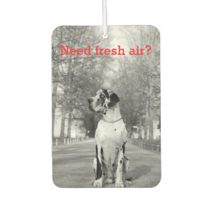 Dog Photography personalized Air Freshener
