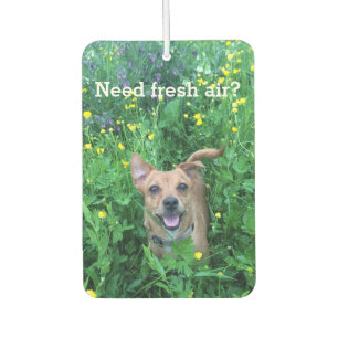 Dog Photography personalized Air Freshener