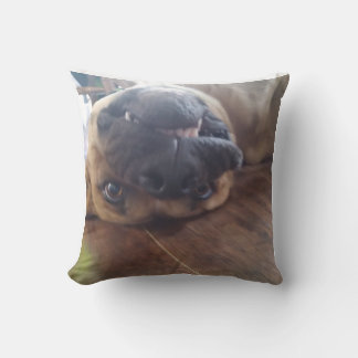 dog pillow