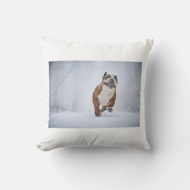 Dog Pillow (Front)
