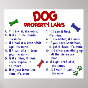 DOG PL2 POSTER