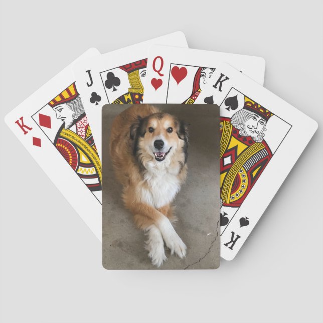Dog Playing Cards (Back)