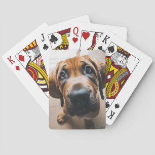 Dog Playing Cards