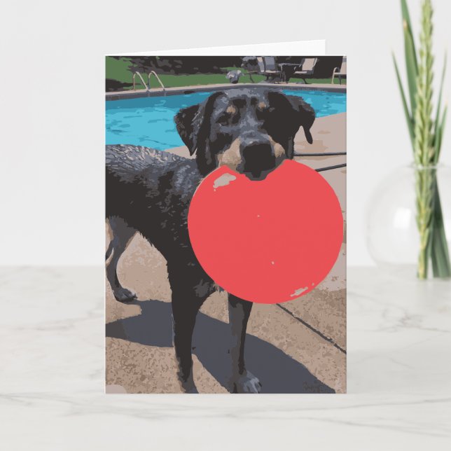 Dog Playing Frisbee Swimming Pool Card (Front)