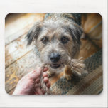 Dog Playing With Rope Mouse Pad<br><div class="desc">A scruffy dog is playing tug of war with a man using a frayed rope</div>
