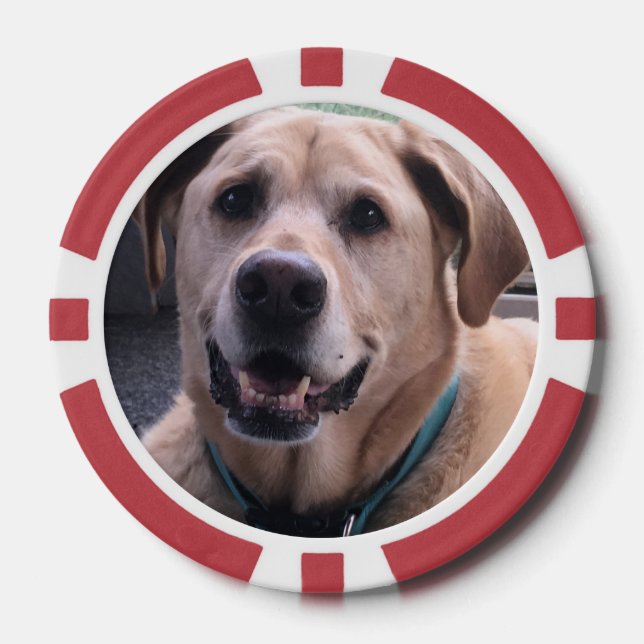 Dog Poker Chips (Front)