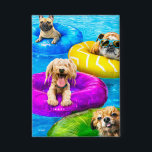 Dog Pool Party<br><div class="desc">Dive in! | Avanti,  the Global Humor Brand™ has been entertaining the world with its Feel Good Funny greeting cards for over 40 years. Our characters live life to the fullest and celebrate the humor in everyday life.</div>