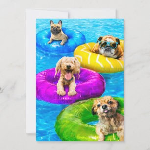 Dog Pool Party Invitation