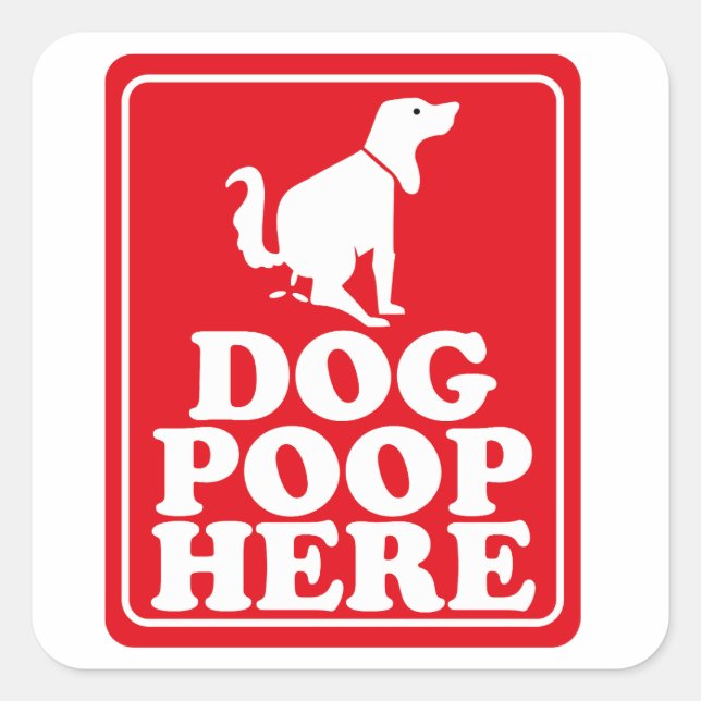 Dog Poop Here Square Sticker (Front)