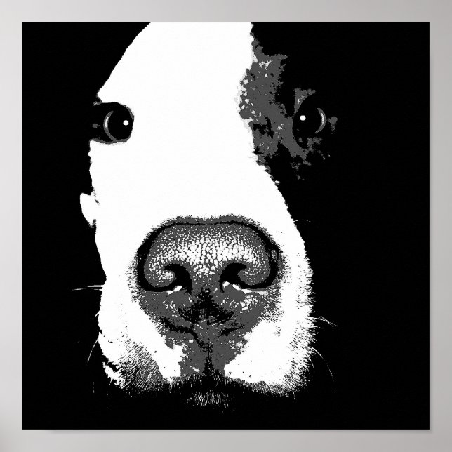 Dog pop art poster (Front)