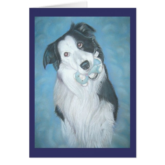 dog portrait of cute border collie with teddy bear (Front)