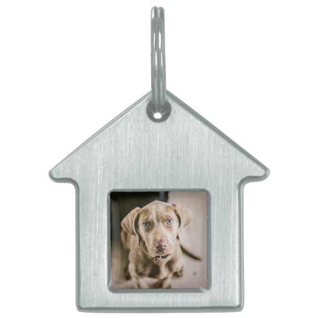 Dog portrait pet tag (Front)