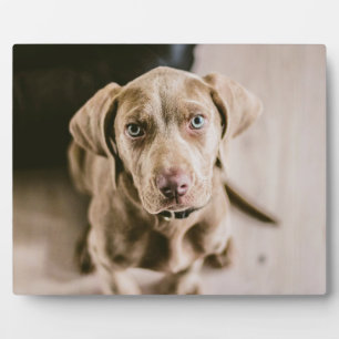Dog portrait plaque