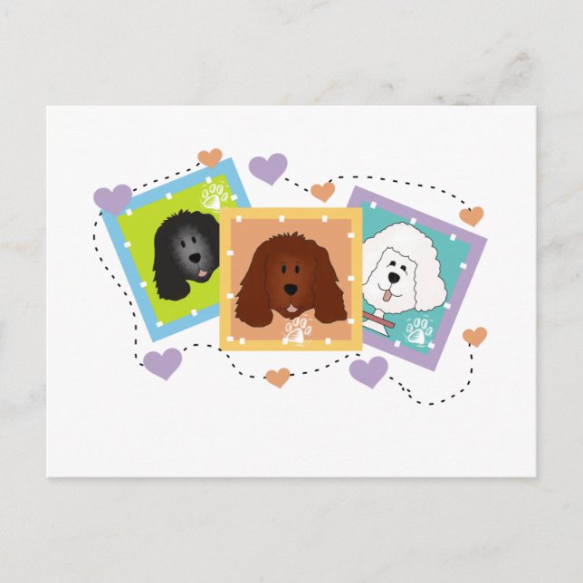Dog Portraits Tshirts and Gifts Postcard (Front)