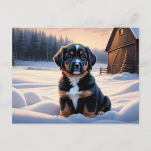 Dog Postcard Series 6 07