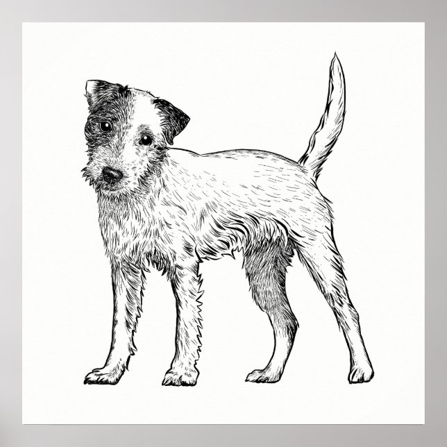 Dog Poster / Wall Art Jack Russell Terrier (Front)