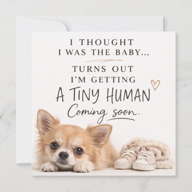 Dog Pregnancy Announcement Card (Front)