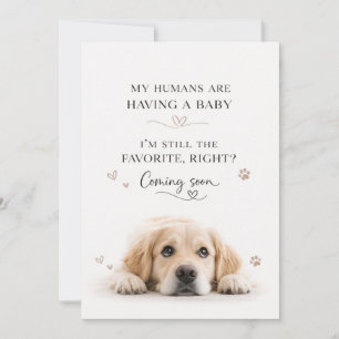 Dog Pregnancy Announcement Card