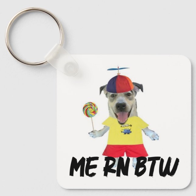 Dog propeller hat funny quote key ring (Front)