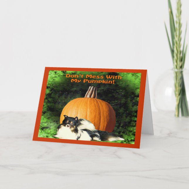 Dog Protecting Large Pumpkin Card (Front)