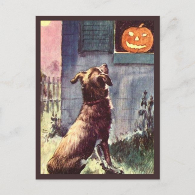 Dog & Pumpkin - Vintage Halloween Postcard (Front)