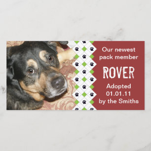 Dog/Puppy Adoption Announcement