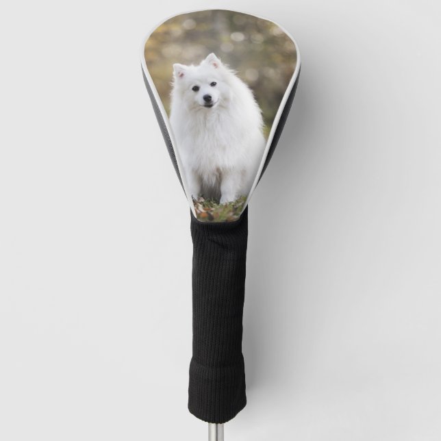 Dog Puppy Canine White Dog Fur OtterBox  Golf Head Cover (Front)