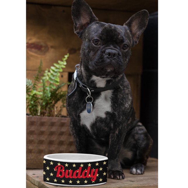 Dog Puppy Cat Kitty Pet Name Black Gold Stars Food (Dog Puppy Cat Kitty Pet Name Black Gold Stars Food Bowl)