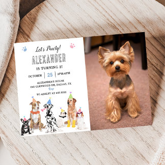 Dog Puppy Let's Pawty Birthday Party Photo Invitation