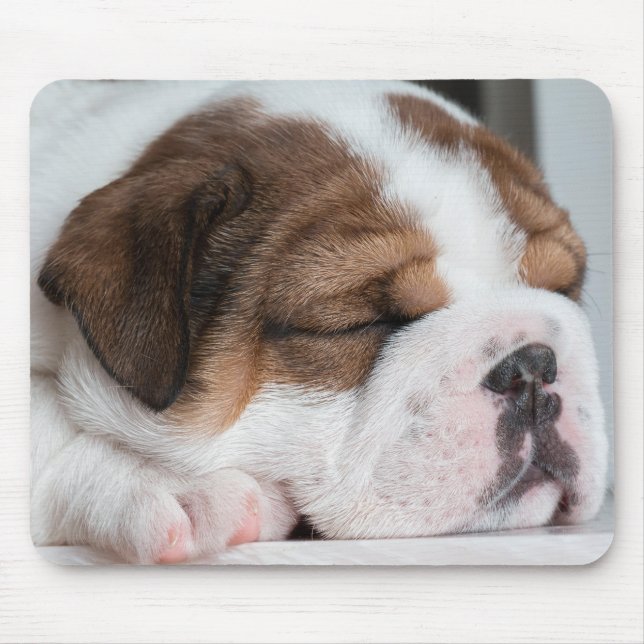 dog, puppy, pet mouse pad (Front)