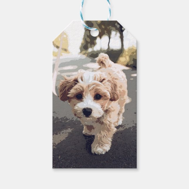 Dog, Puppy, Pooch Gift Tags (Front)