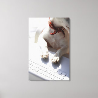 Dog putting his hands on a laptop canvas print