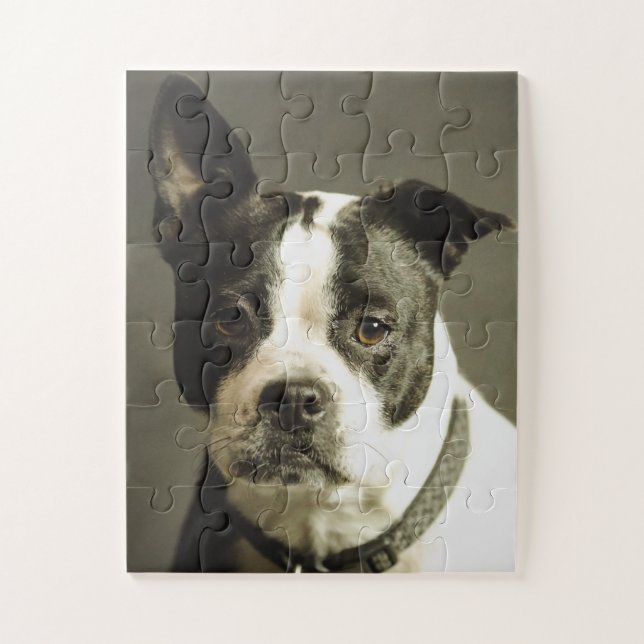 DOG PUZZLE, BLACK & WHITE DOG JIGSAW PUZZLE (Vertical)