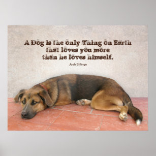 Dog Quote Poster