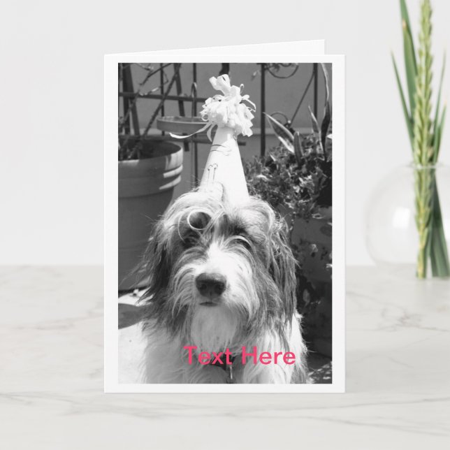 Dog Ready to Party Card (Front)