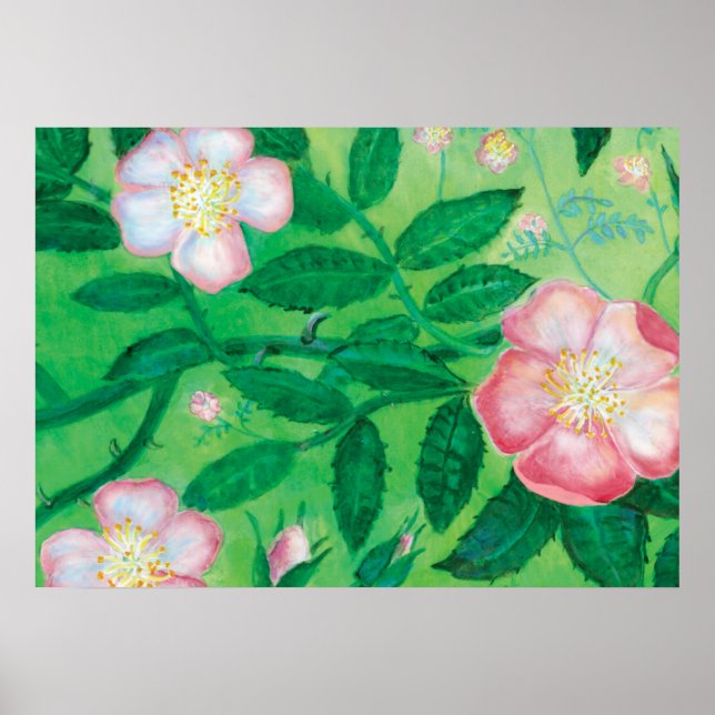 Dog Rose (Rosa Canina) Poster (Front)