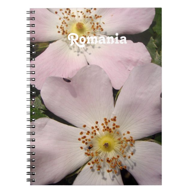 Dog Rose Spiral Notebook (Front)