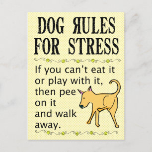 Dog Rules for Stress Postcard