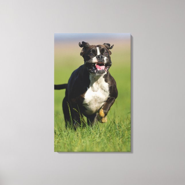 Dog Running 2 Canvas Print (Front)