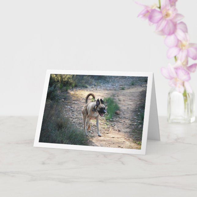 Dog Running and Jumping Card (Orchid)