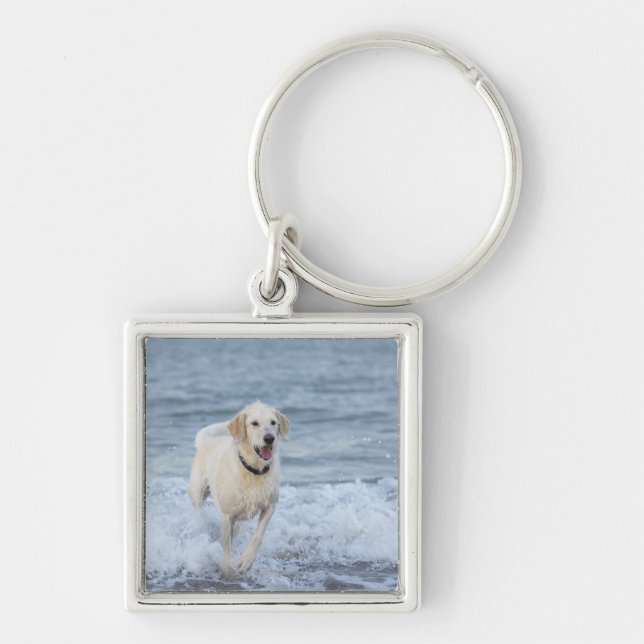 Dog running in water at beach. key ring (Front)