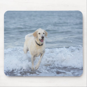 Dog running in water at beach. mouse pad